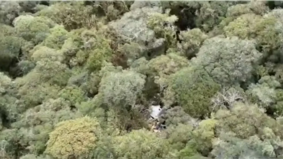 Destroços do helicóptero que levava Rick e outros 4 — Foto: Reprodução/NSC TV