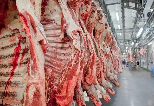 Fiemg: veto à carne brasileira reduz significativamente ganhos de acordo UE-Mercosul